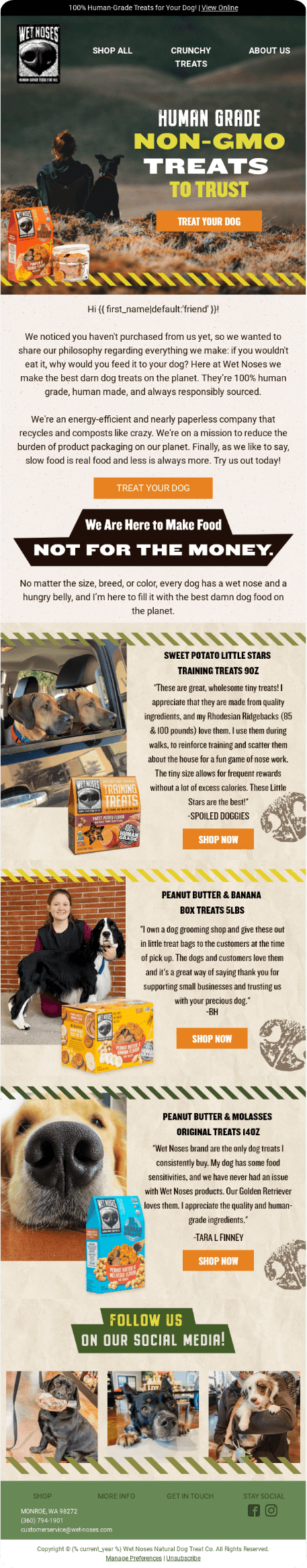 Wet Noses Email Design 1