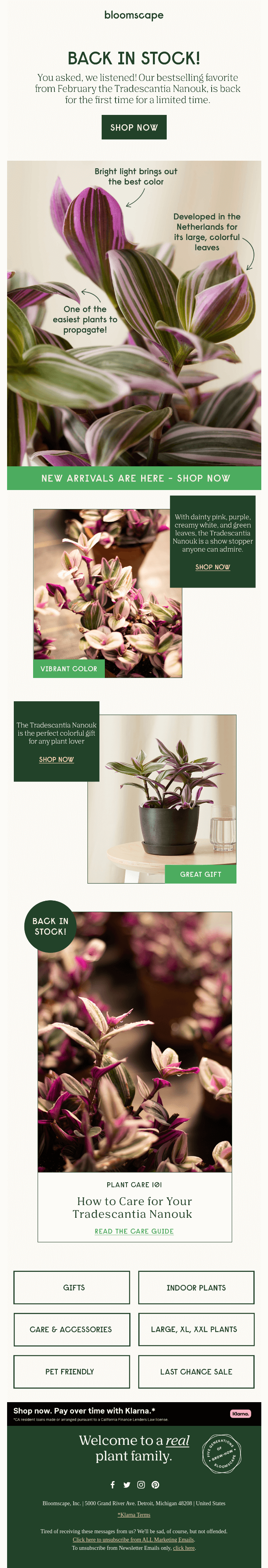 Bloomscape's Back-in-Stock Email