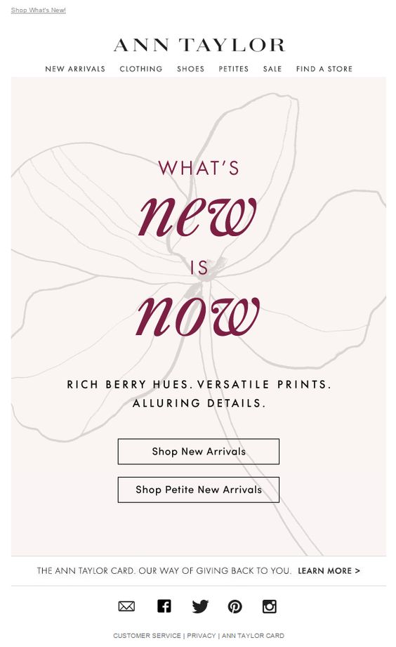 Ann Taylor's New Arrivals Email