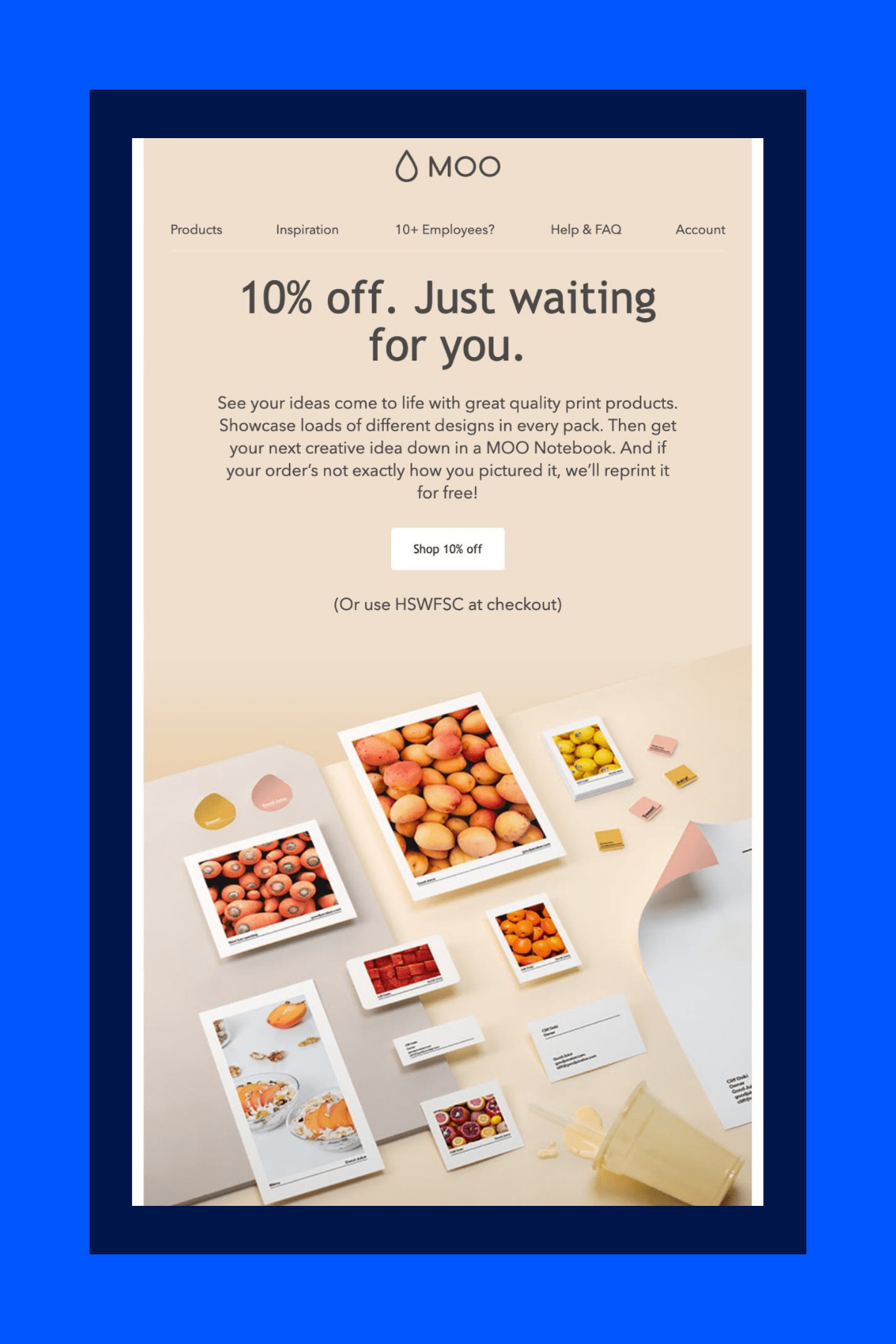 Moo's Best Promotional Email