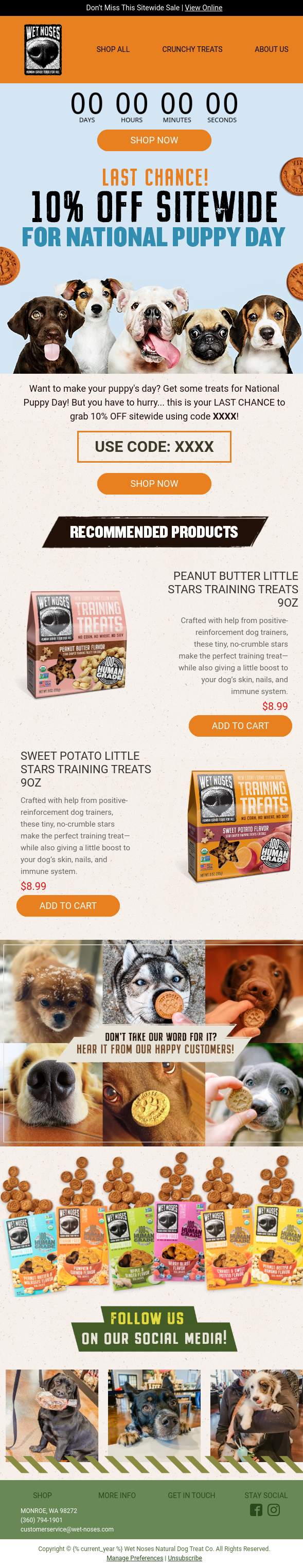 Wet Noses's Best Sales Email