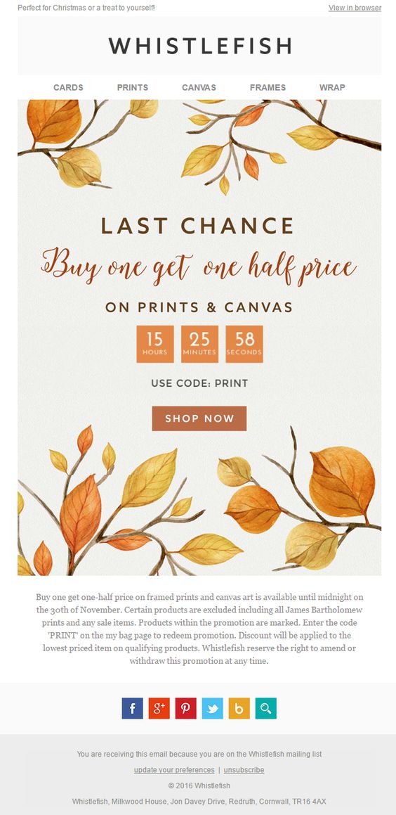 Whistlefish's Best Last Chance Email