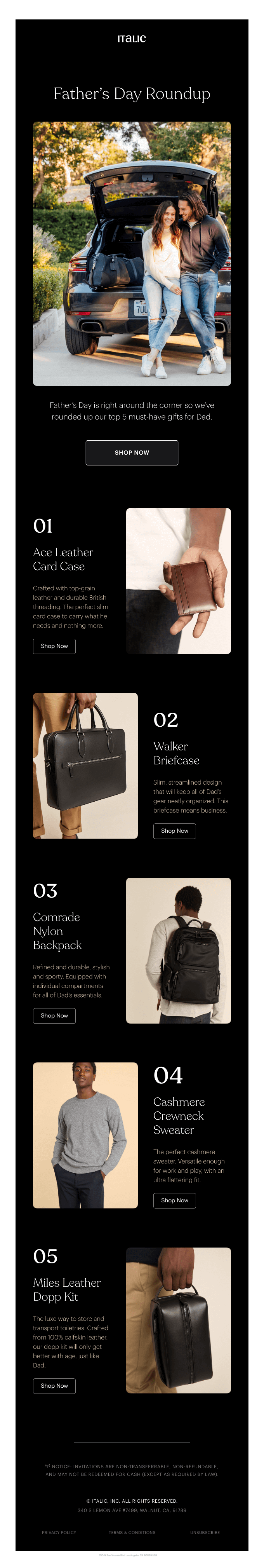 Italic's Father's Day Email